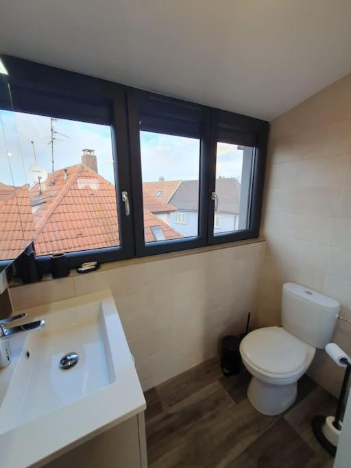 Appartement 2 Pieces Tout Confort, Aux Portes De Colmar Andolsheim Εξωτερικό φωτογραφία