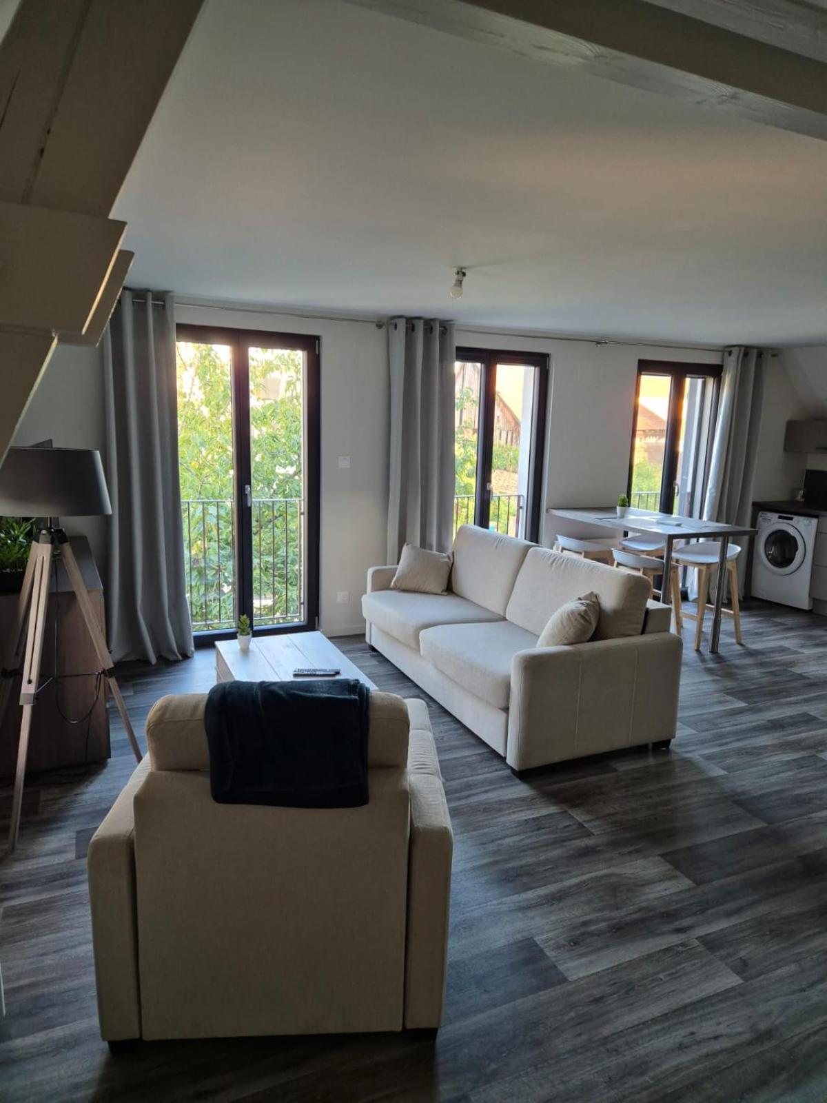 Appartement 2 Pieces Tout Confort, Aux Portes De Colmar Andolsheim Εξωτερικό φωτογραφία